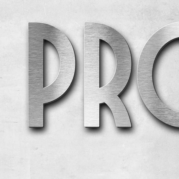 Schriftzug "Professionalität" in Schriftart "Style 25", Edelstahl V2A gebürstet - hochwertig & wette