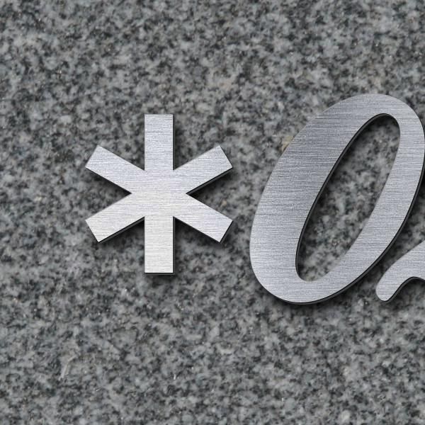 Schriftzug "*02.10.1951 +13.12.2024" in Schriftart "Ballpark", Acryl-Kunststoff in Edelstahl-Optik g