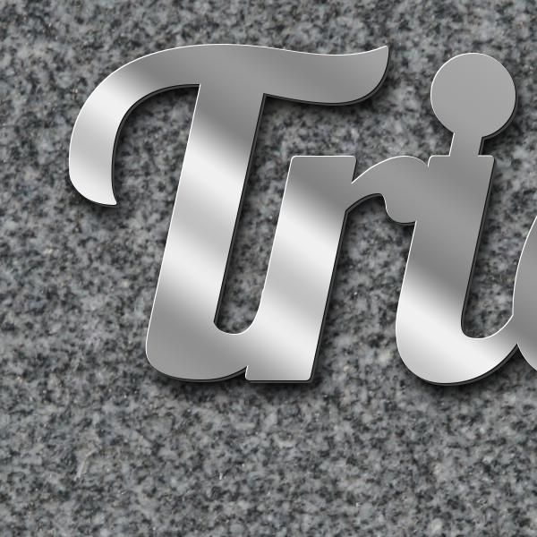 Schriftzug "Trieb" in Schriftart "Catdog", Edelstahl V2A spiegelpoliert - hochwertig & wetterbeständ
