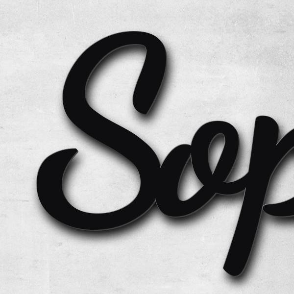 Lettering "Sophie Germain", stainless steel V2A powder-coated - high quality & weather resistant