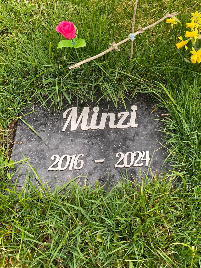 Grabtafel mit dem Namen Minzi und den Jahren 2016–2024 aus Edelstahl im Rasen