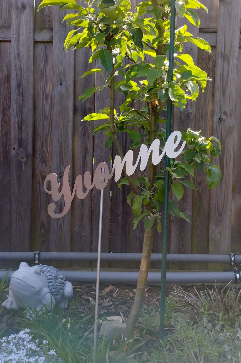 Gartenschild Yvonne aus Edelstahl vor Holzzaun neben einem Baum
